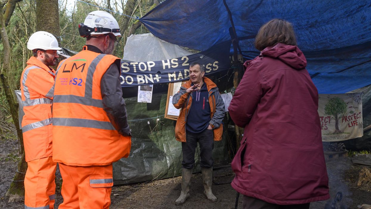 A group of environmental activists are living in trees as a protest