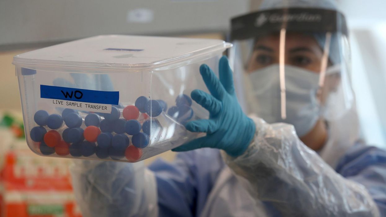 Coronavirus testing firm furloughs half its staff after government didn't respond to offers to help