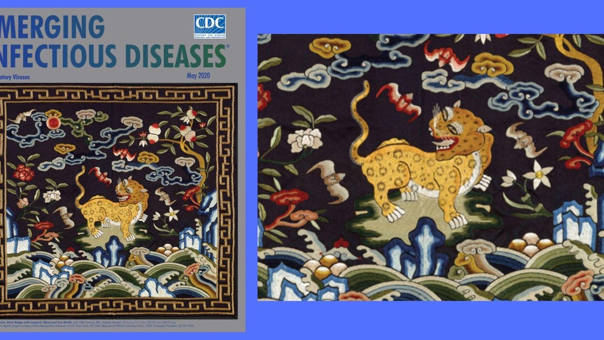 CDC slammed for 'racist' and 'ignorant' Asian-themed cover image on latest issue about infectious diseases