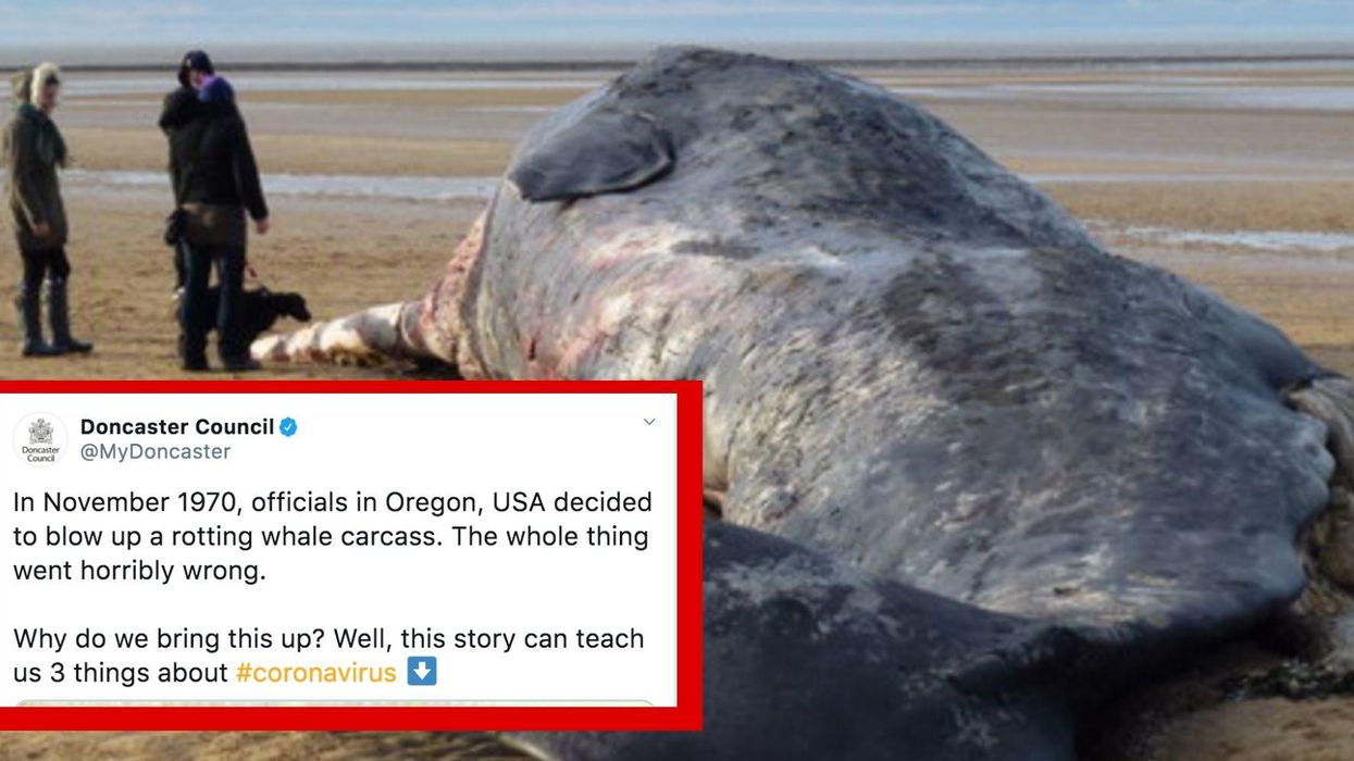 What this story about Americans blowing up a whale can tell us about fighting coronavirus