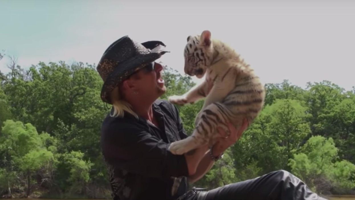 Bizarre docu-series Tiger King just dropped on Netflix and people have a lot of thoughts