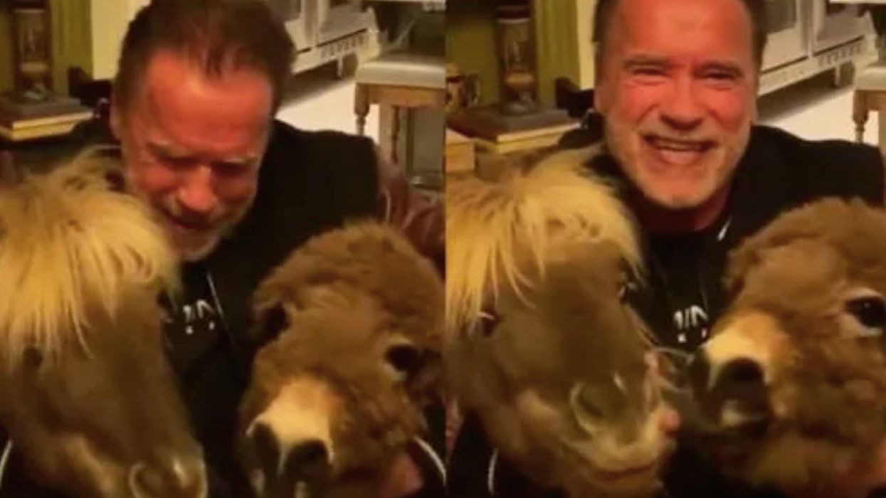 Arnold Schwarzenegger posts self-isolation video saying he’s having a ‘good time’ with his pet donkeys