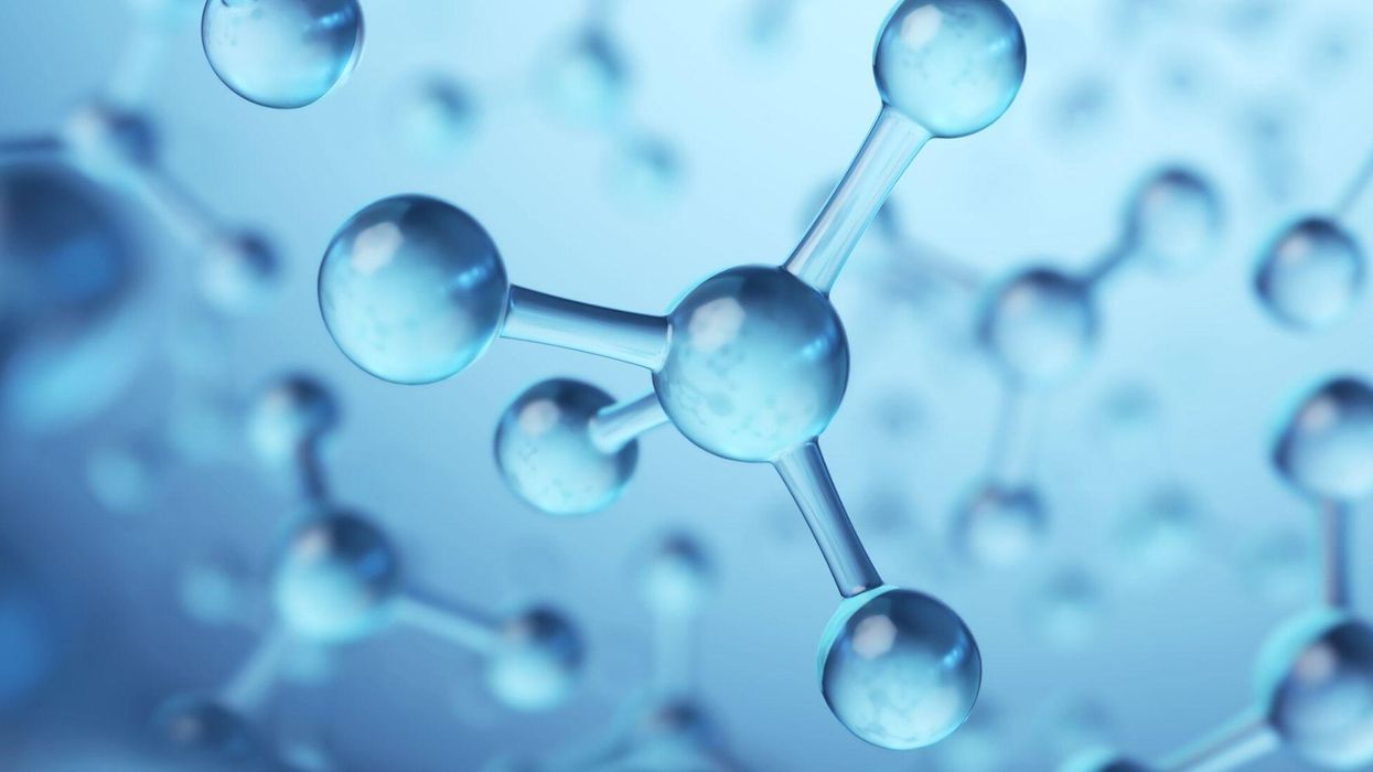 Scientists discover the first animal ever that doesn’t need oxygen to survive