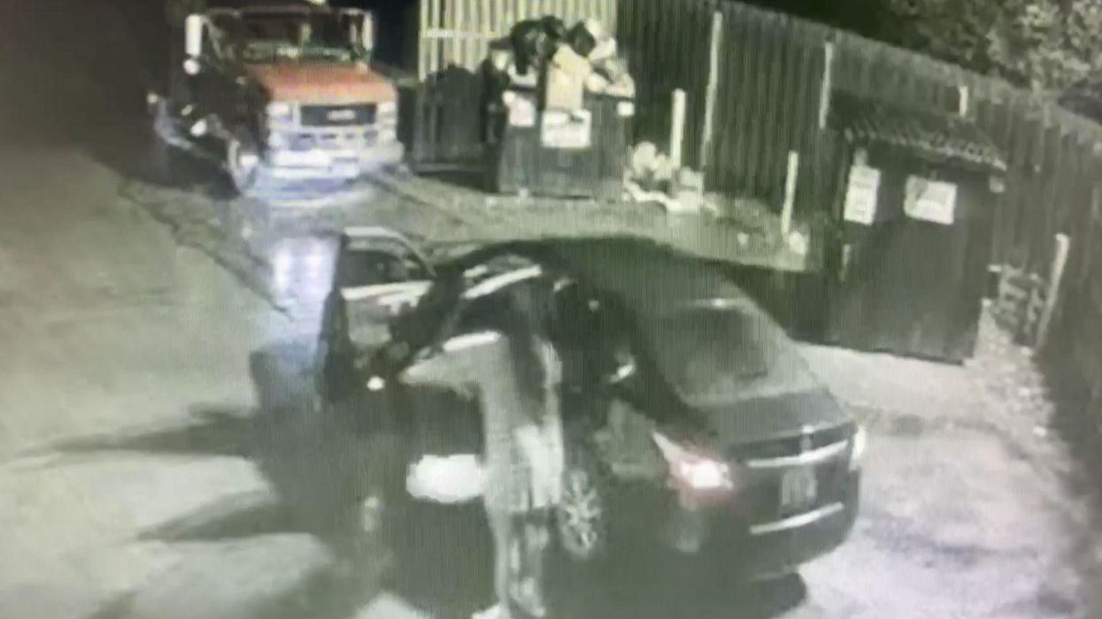 Shocking footage emerges of dead dog being thrown in dumpster