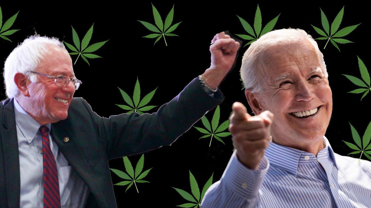 Democrats think they're voting on healthcare but they're actually choosing whether or not to legalise marijuana