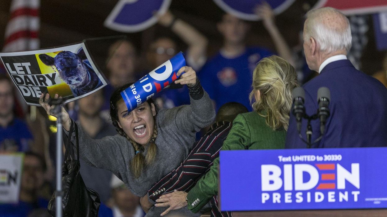 Jill Biden shielded her husband from protesters and became an internet sensation