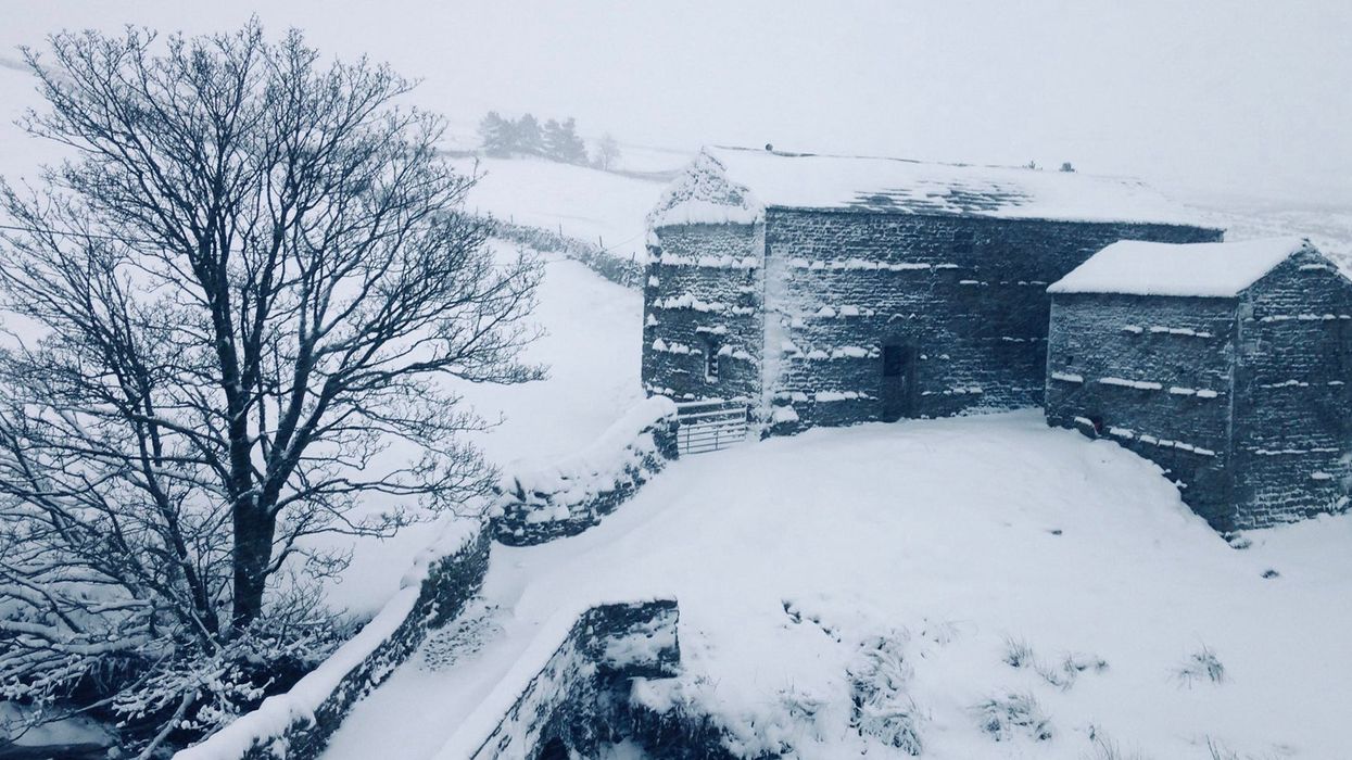 15 of the most delightful pictures of people loving their snow day