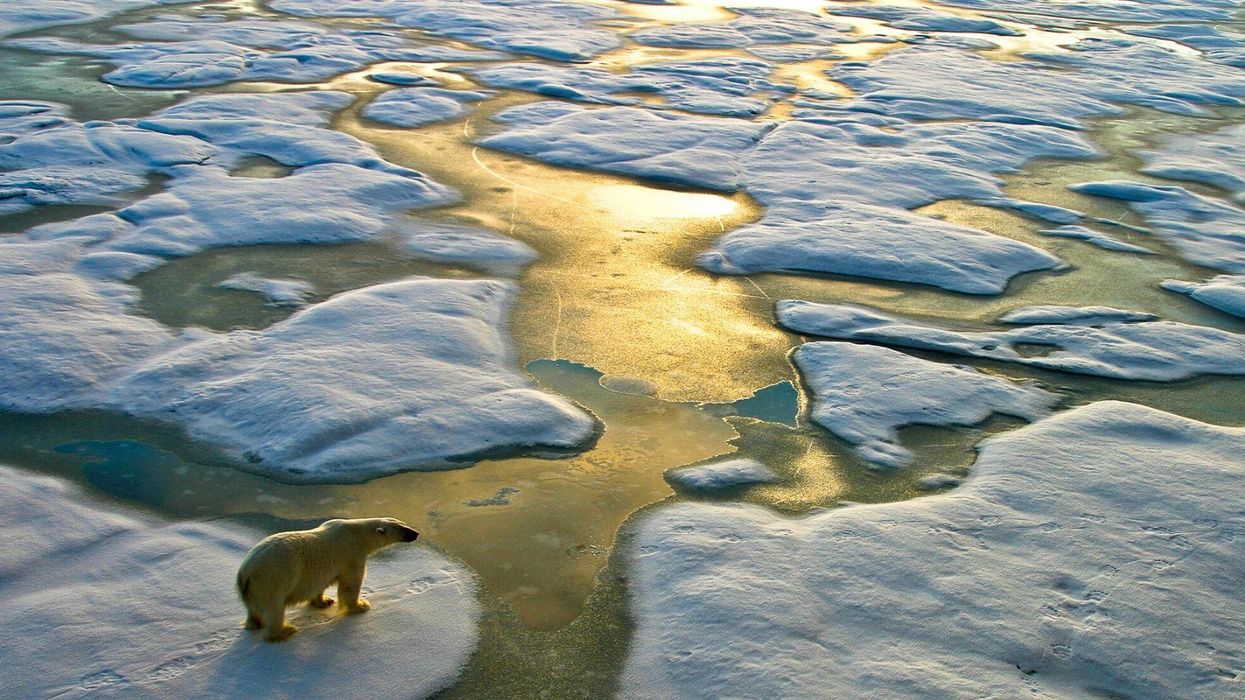 This scientist destroyed climate change deniers in a single viral post