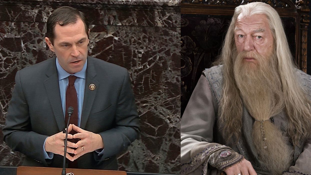 Democrat uses Harry Potter quote during Trump impeachment in an attempt to sway Republicans