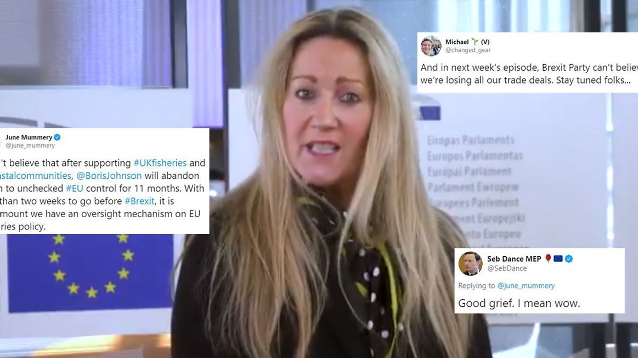 Brexit Party MEP causes more confusion by saying 'British fishers shouldn't be punished for their Brexit stance'