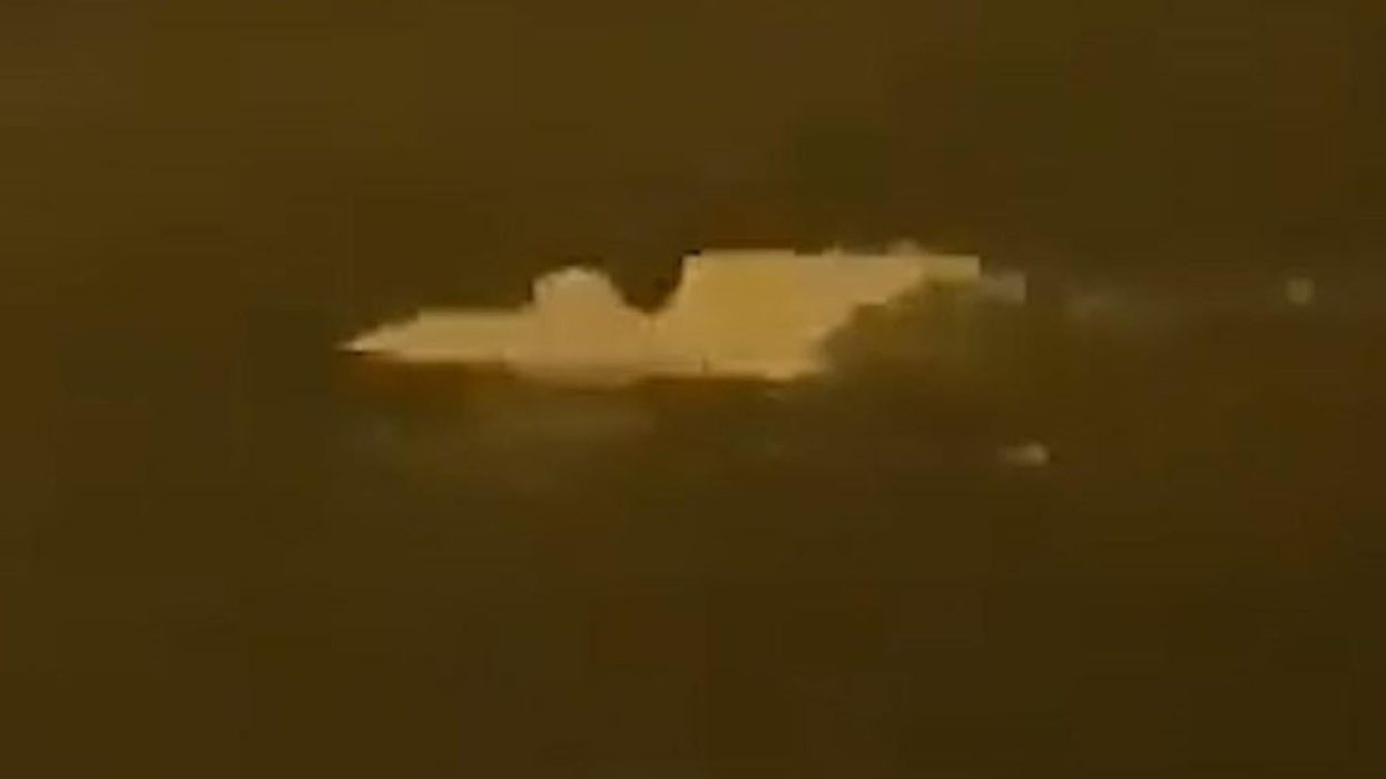 This rare footage proves that owls can swim