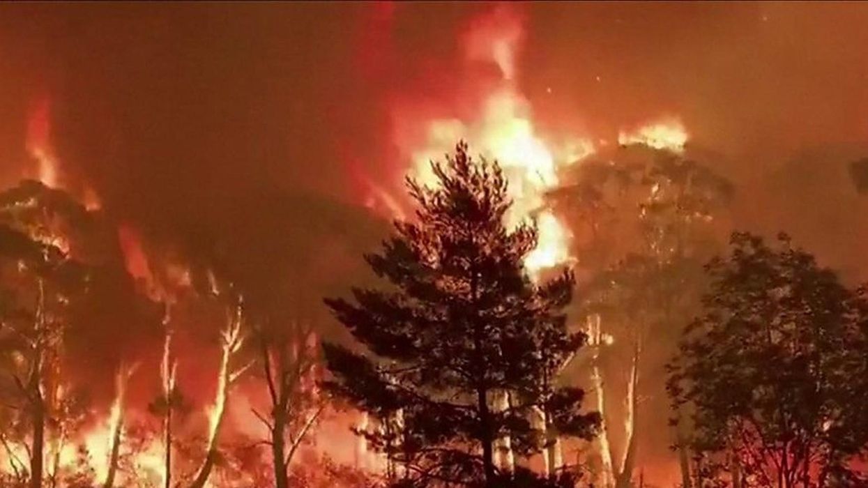 Incredible footage shows just how quickly Australia's bush fires are spreading as flames 'crown' treetops