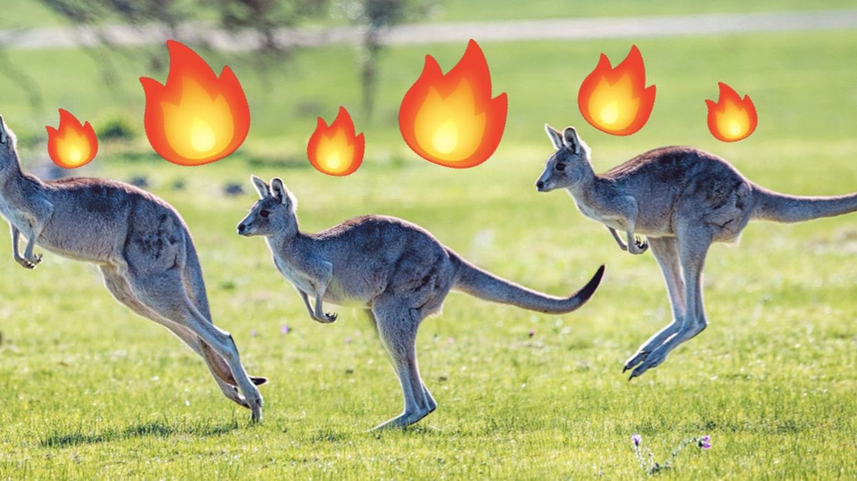 The Australian weather forecast that should terrify the world