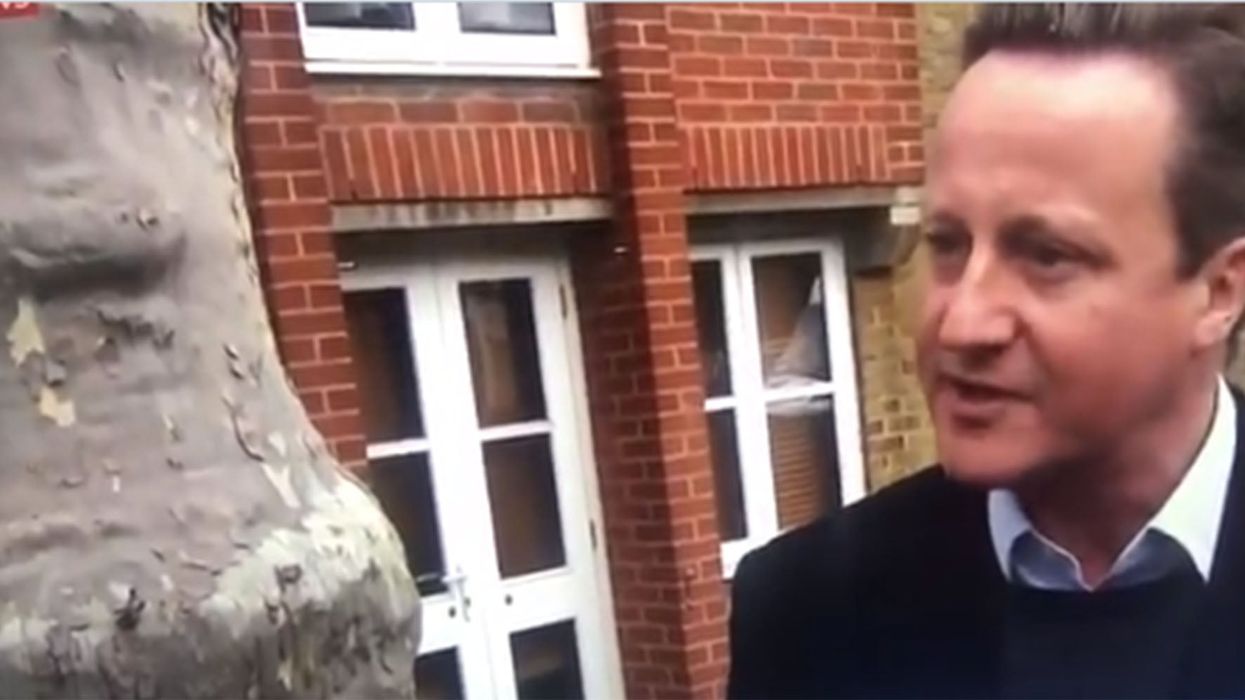David Cameron talked to a tree on live TV and everyone is confused