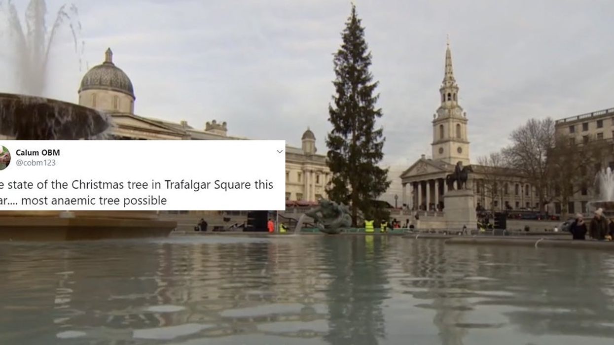 Trafalgar Square Christmas tree branded 'anaemic' and a 'turkey'