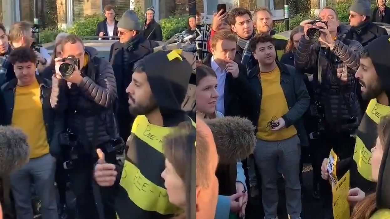 Jo Swinson branded 'patronising' by two bees