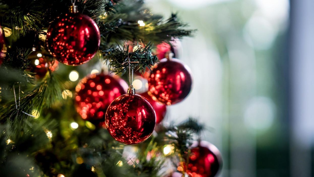 Genius money-saving hack shows how to make your own Christmas tree