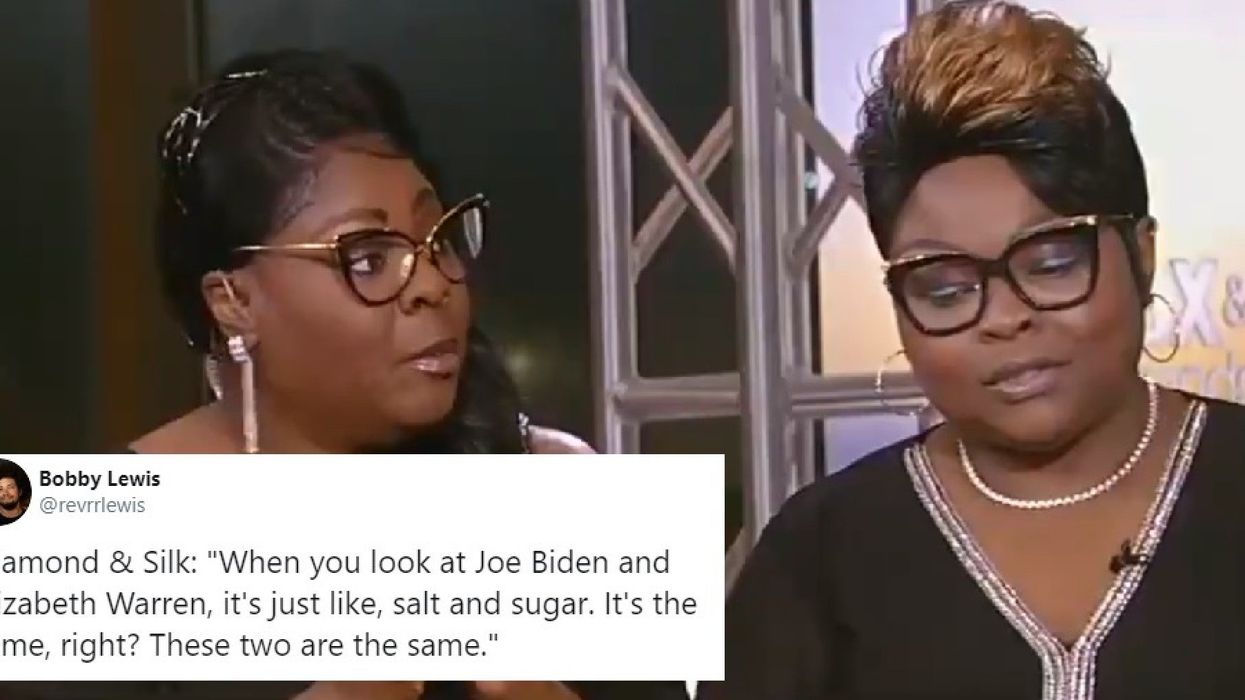 Trump supporters Diamond and Silk said on Fox News that salt and sugar are 'the same'