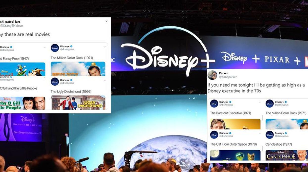 Disney has unveiled all the films on its streaming service and some of them have to be seen to be believed