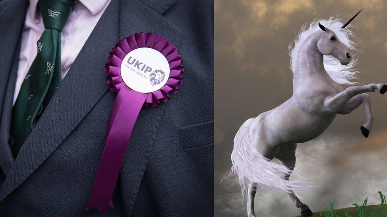 UKIP founder accused of 'eating unicorns for breakfast' by pro-Remain radio caller