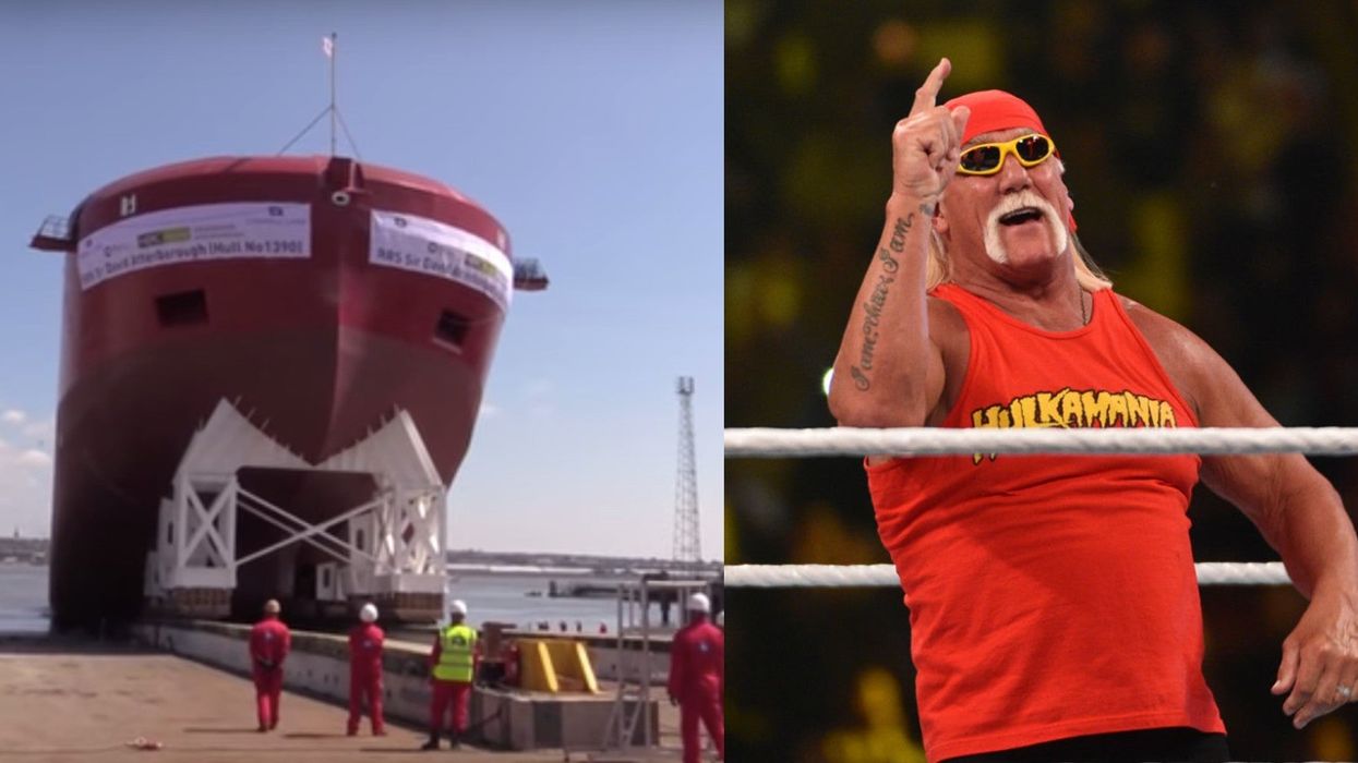 People think the David Attenborough boat looks like Hulk Hogan