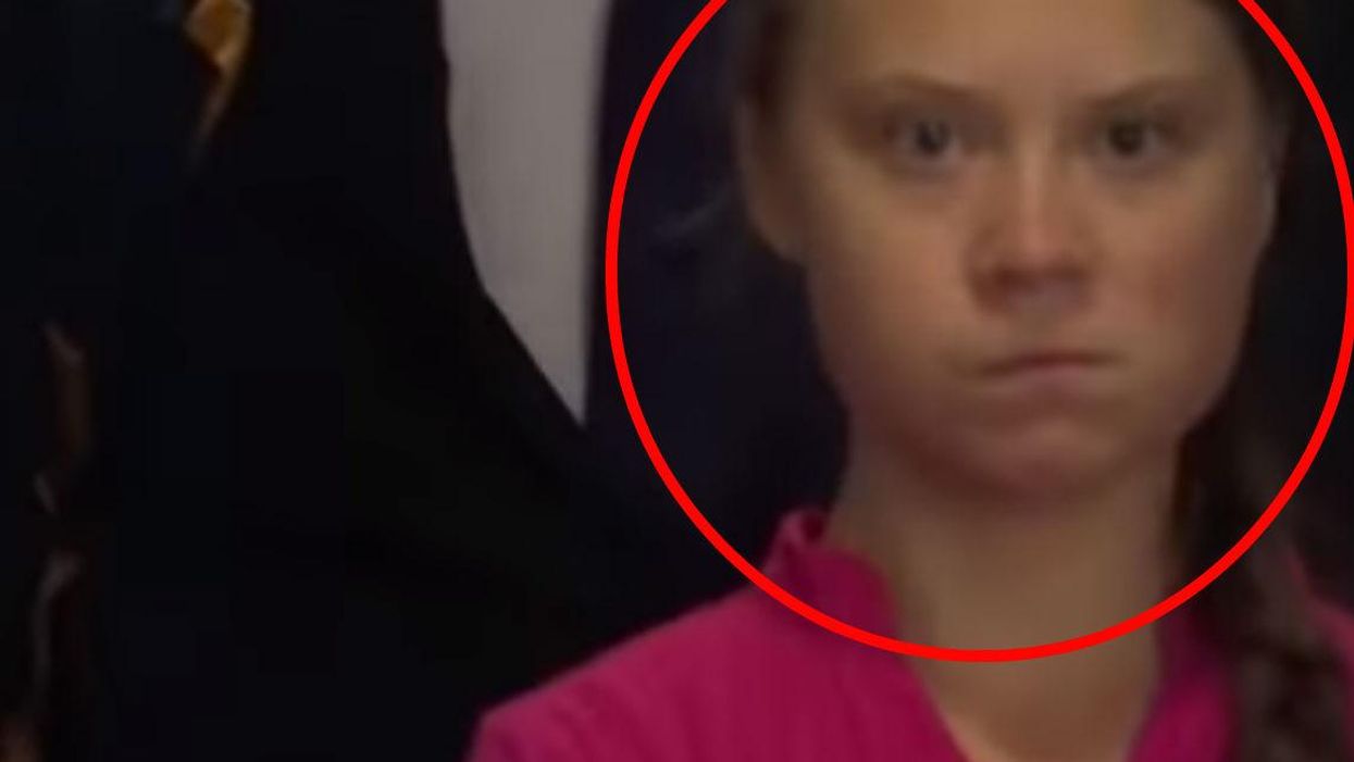 This is the moment Greta Thunberg saw Donald - and it's a mood