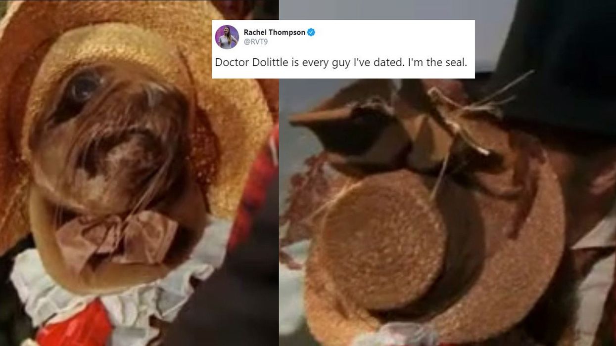 This scene from 1967s Doctor Doolittle might be the weirdest thing ever filmed