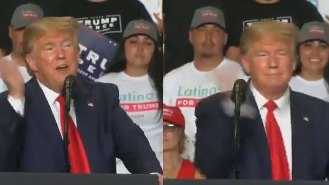 Trump had a bizarre reaction to a fly during a rally speech