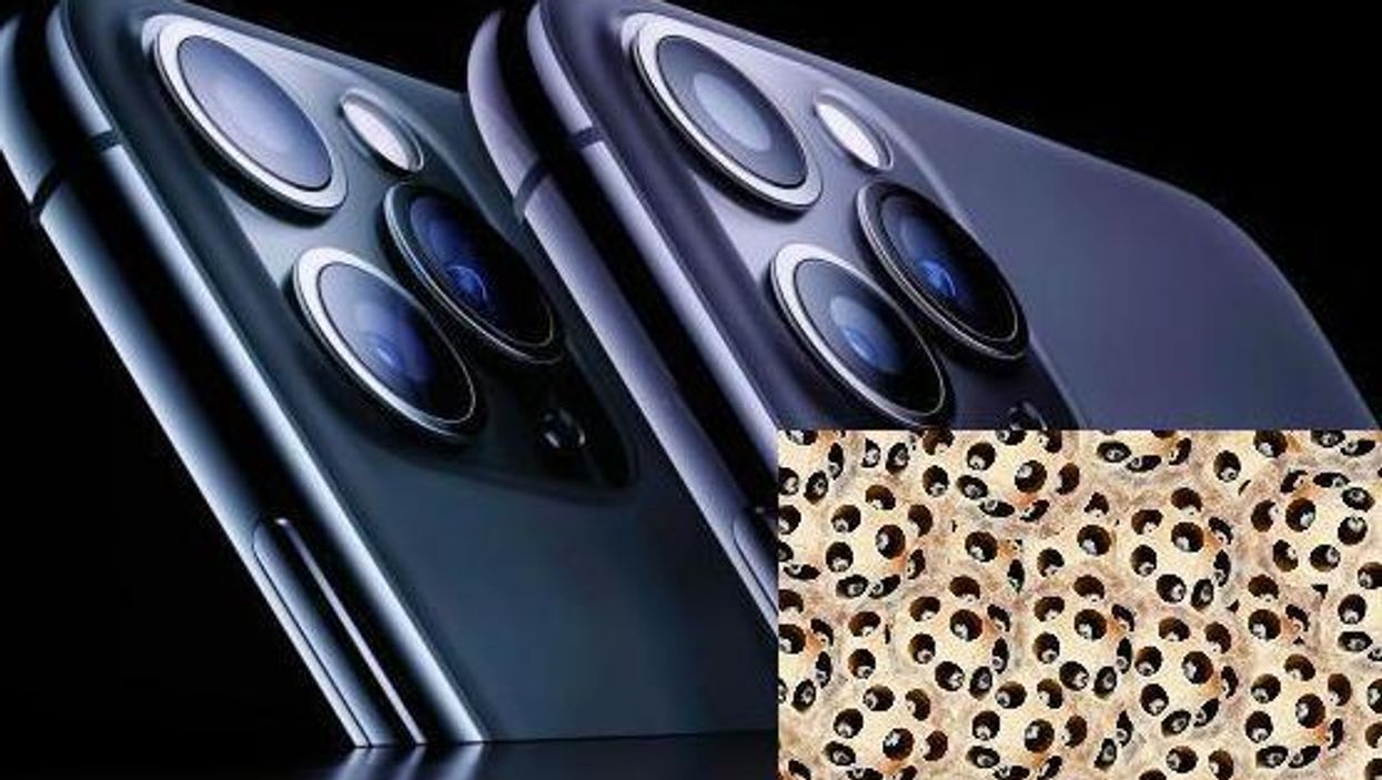 Apple's new iPhones are triggering people with trypophobia