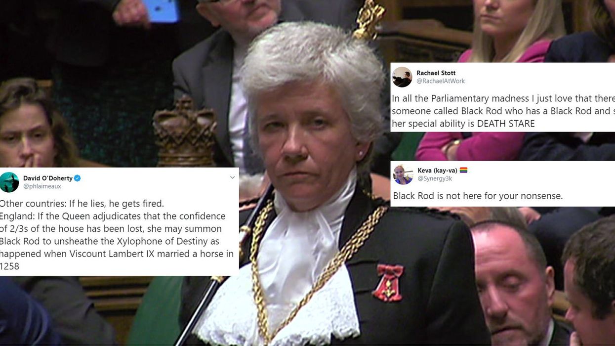 Parliament's 'Black Rod' has become the internet's new favourite meme