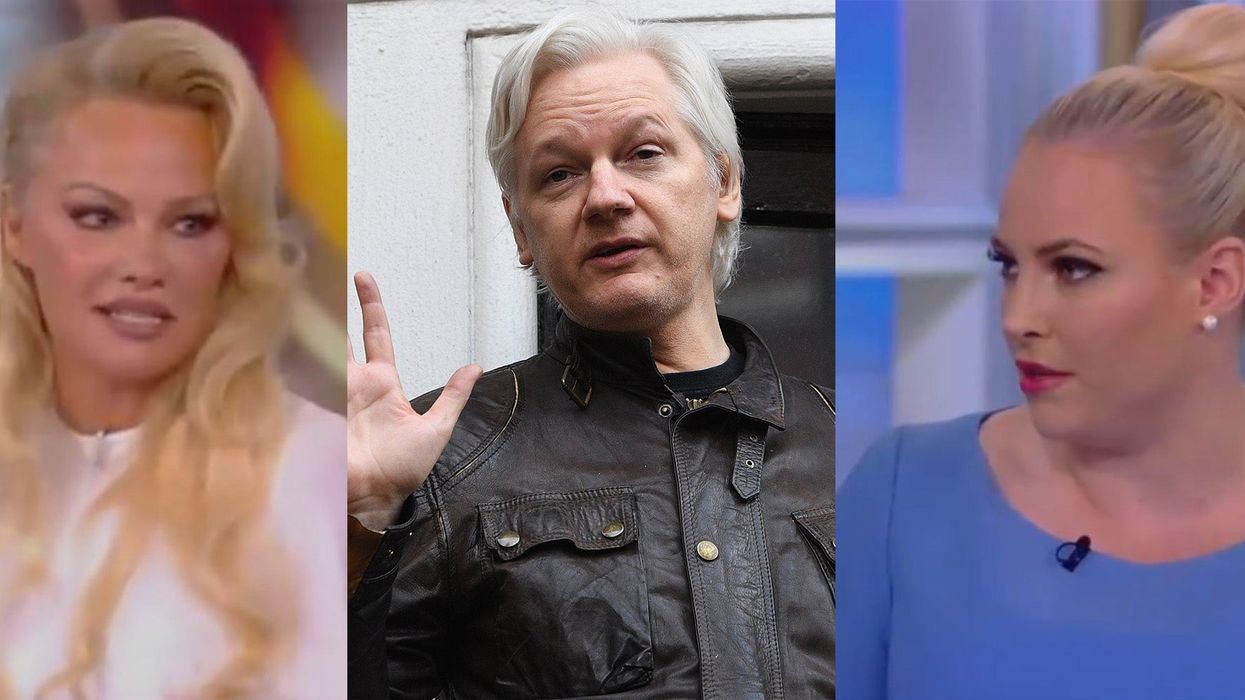 Pamela Anderson and Meghan McCain actually got into an argument about war crimes on live TV