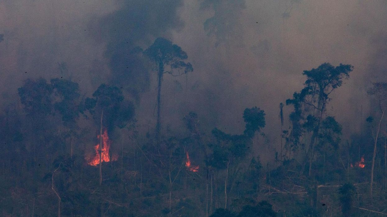 More fires are burning in the sub-Saharan desert than the Amazon rainforest right now