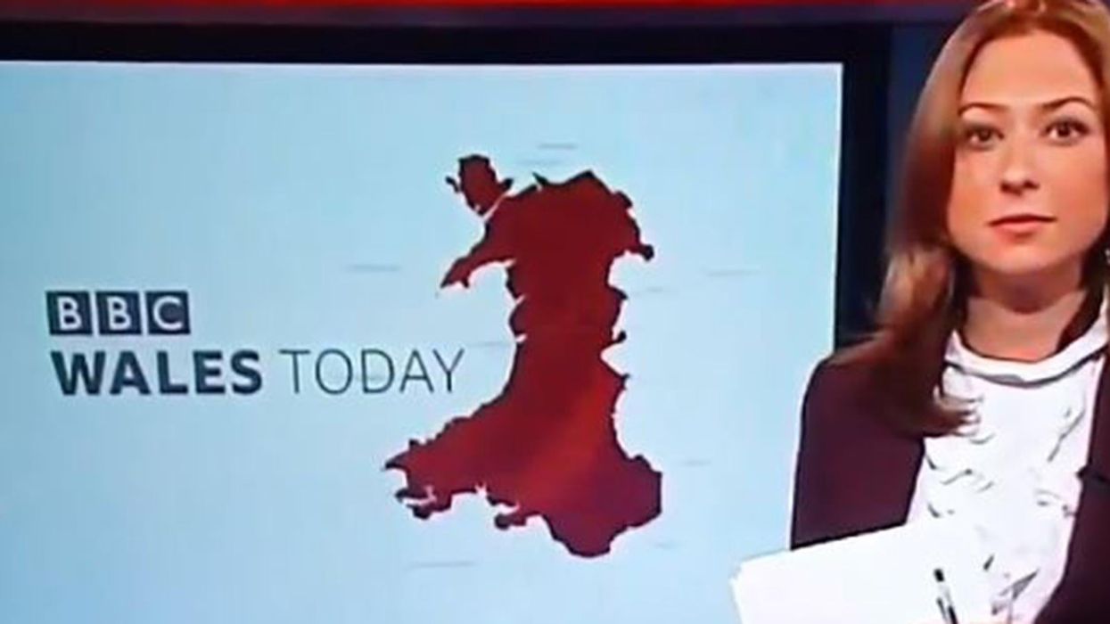 This BBC news reporter being caught out live on camera is the best thing you'll see today