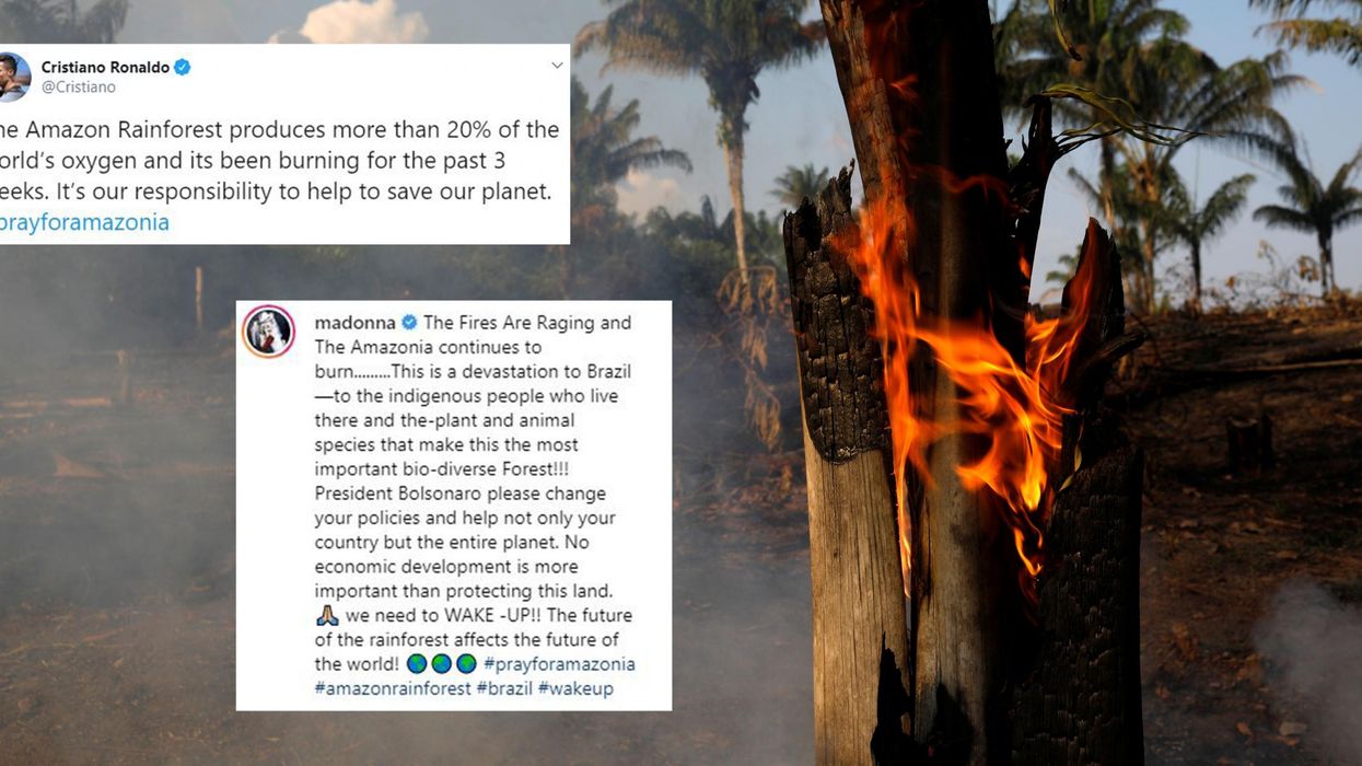 Celebrities speak out over concerns for the Amazon rainforest as fires continue to spread