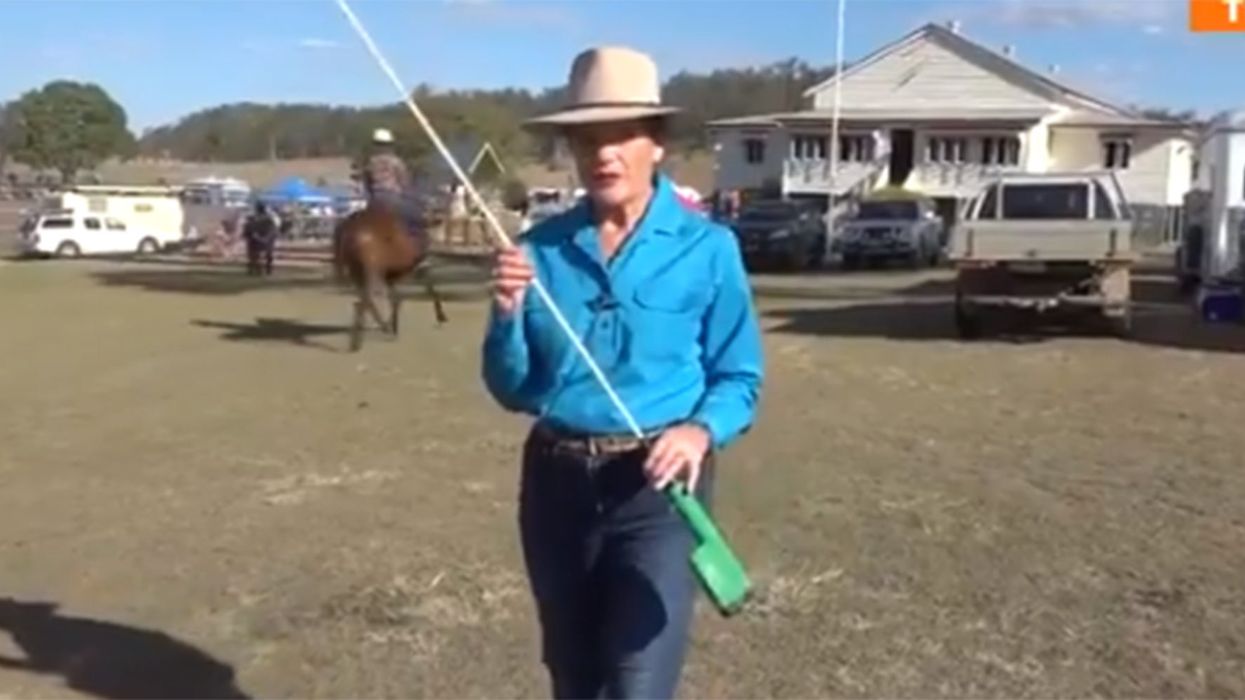 Australian politician wants police to use cattle prods on climate change protesters