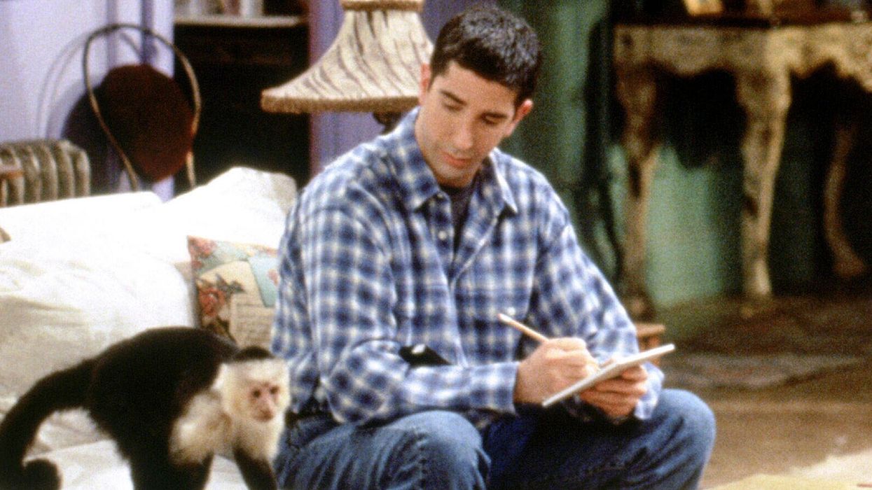 Marcel the monkey from Friends is making a TV comeback