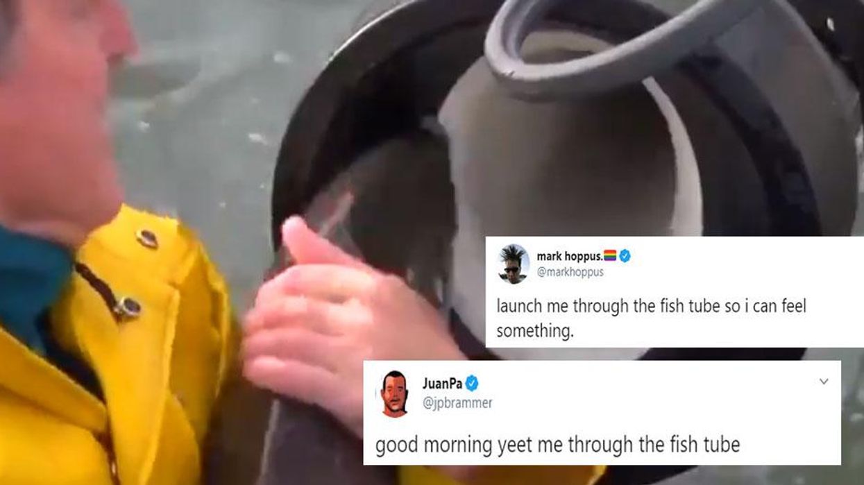 Fish tube: ‘Cannon’ that fires salmon over dams sends the internet into meltdown