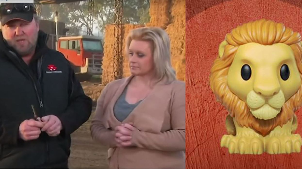 Farmers destroy rare toy on live TV to fight back against online trolls