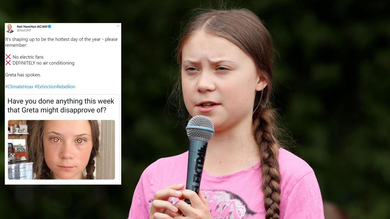 UKIP Wales leader condemned after tweeting meme attacking Greta Thunberg