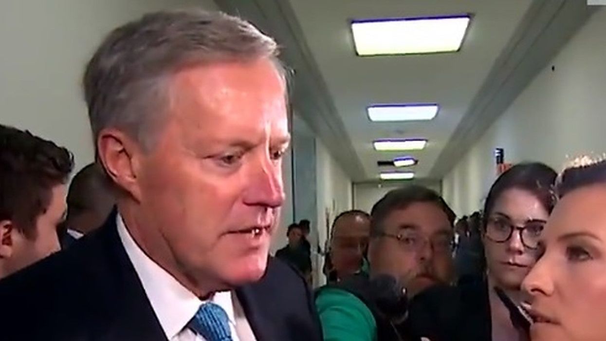 Congressman claims 'send her back' chants were 'not Trump's language' but it literally was Trump's language