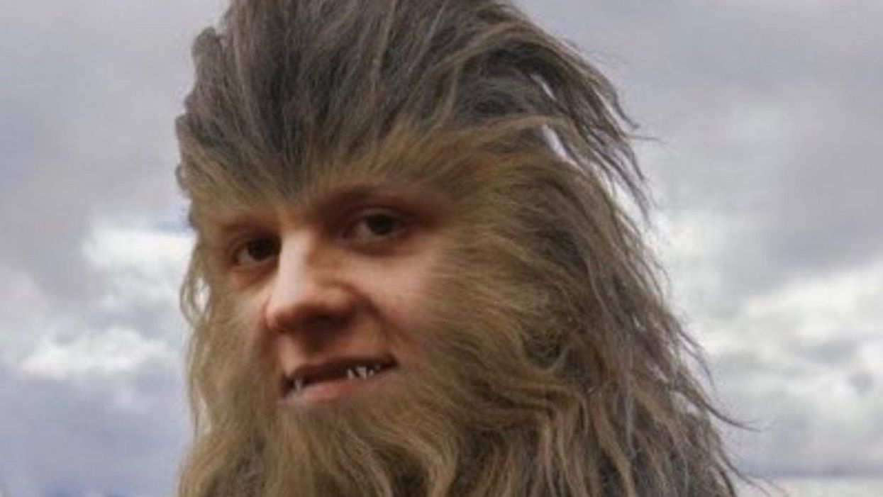 Lewis Capaldi embraces Noel Gallagher Chewbacca insult on Twitter