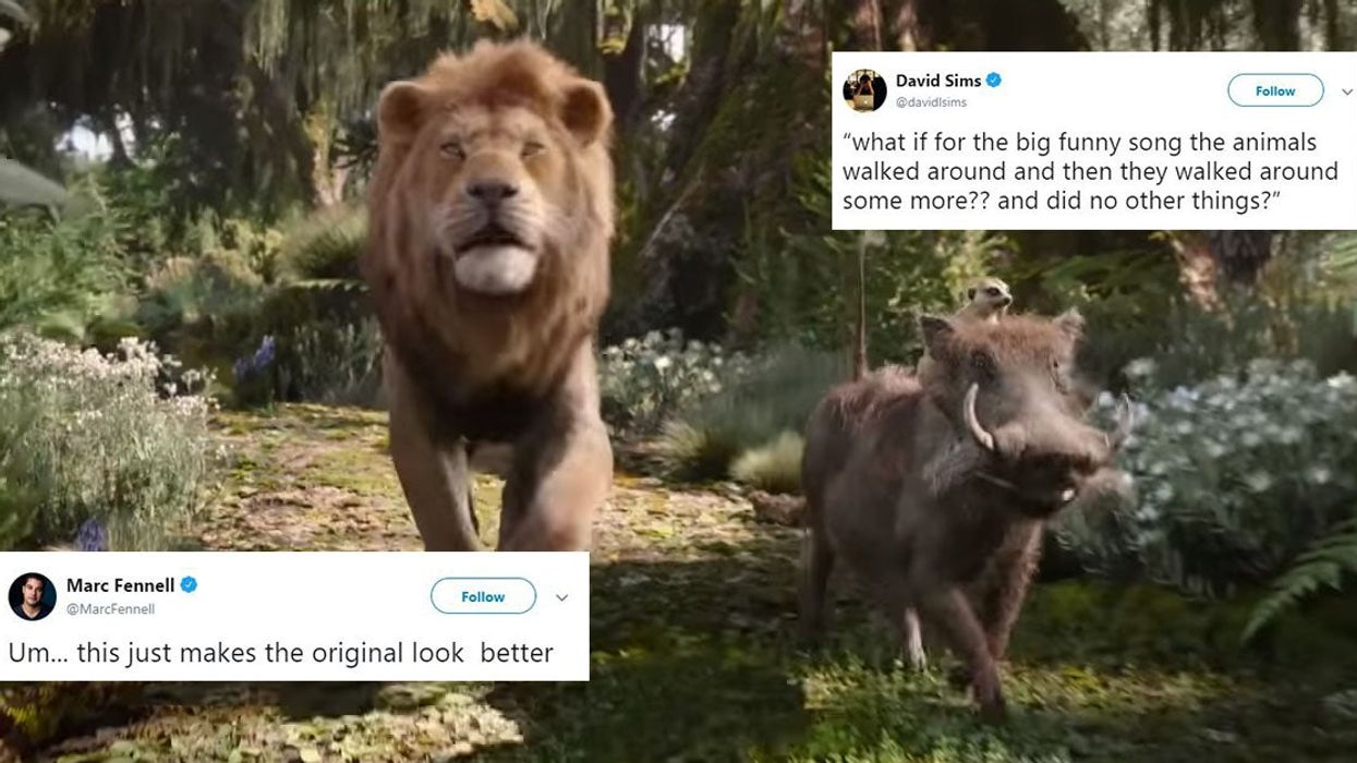 The version of 'Hakuna Matata' from new The Lion King movie has caused fury online