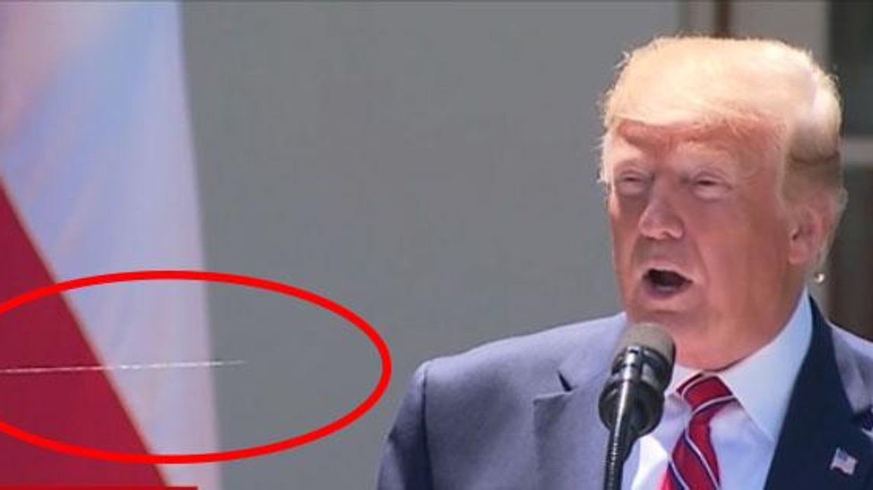 Trump and his Polish counterpart just got upstaged by a spiderweb