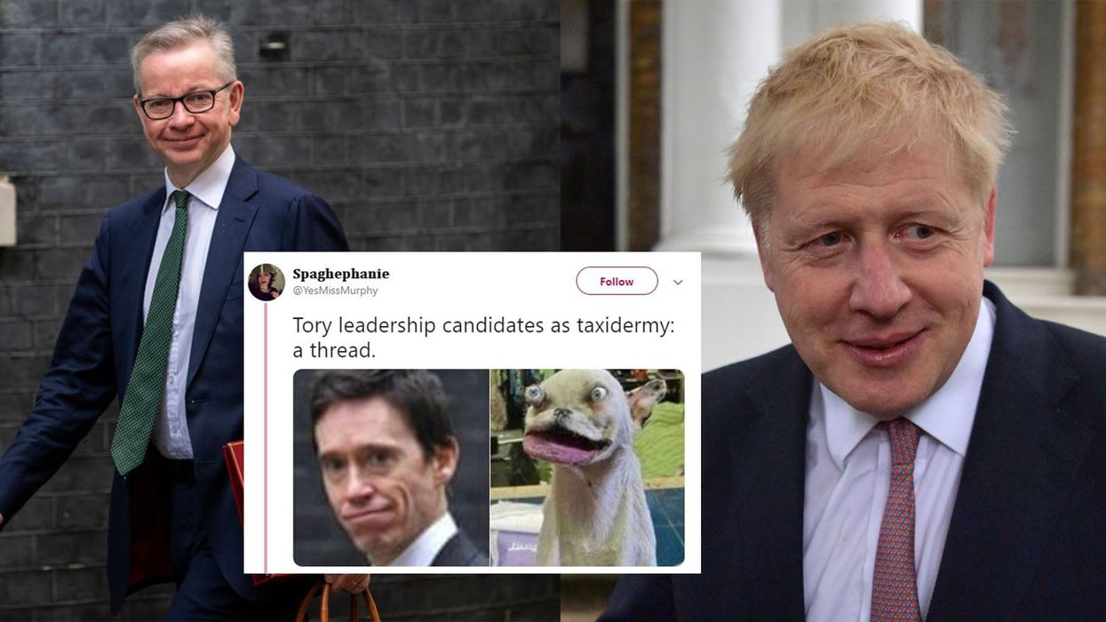 Someone has re-imagined the Tory leadership candidates as terrifying pieces of taxidermy