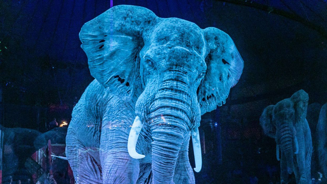 World’s first: German circus uses amazing 3D holograms in place of animals to fight cruelty