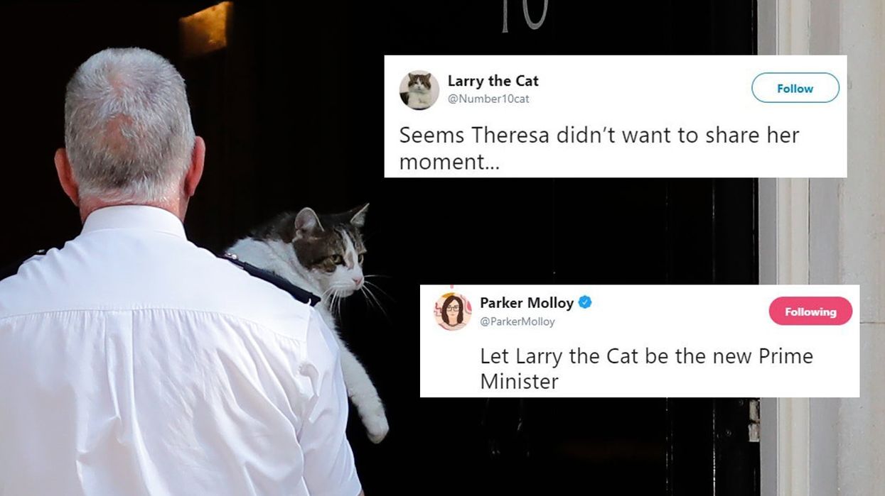 Larry the cat was brought inside just before Theresa May's speech and the jokes wrote themselves