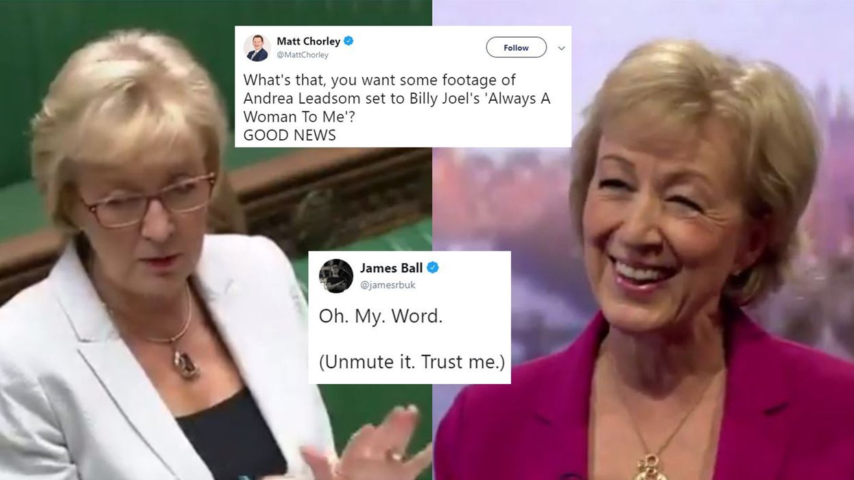 Andrea Leadsom fan account pays tribute to former Tory minister with bizarre Twitter video