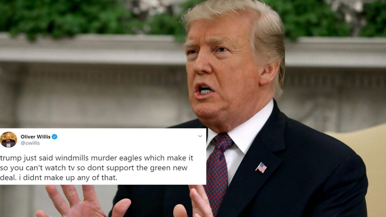 Trump is ranting again about wind turbines killing bald eagles – here’s why he’s wrong