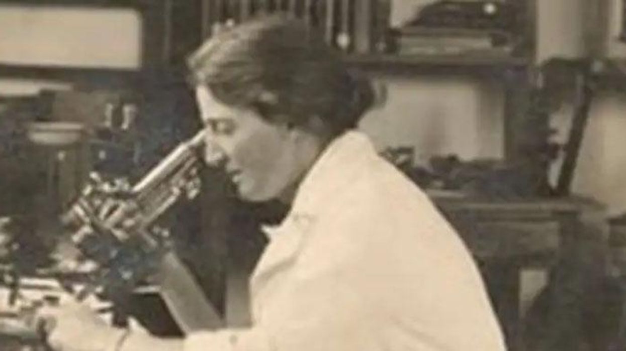 Lucy Wills: How the celebrated haematologist used Marmite to solve a chronic blood condition