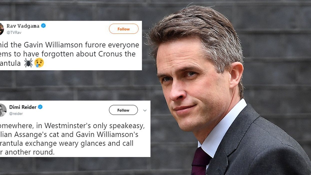 Former defence secretary Gavin Williamson owns a tarantula called Cronus which he kept on his desk